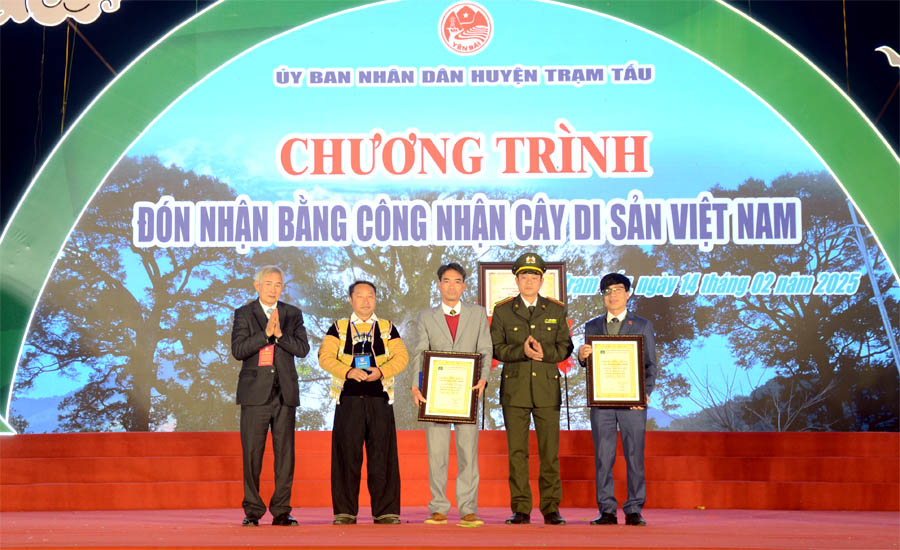 Những[-]cây[-]cổ[-]thụ[-]quý[-]hiếm[-]của[-]tỉnh[-]Yên[-]Bái[-]được[-]công[-]nhận[-]Cây[-]Di[-]sản[-]Việt[-]Nam